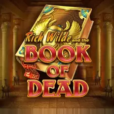 Book of Dead slot